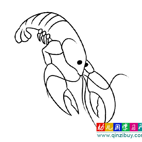 大夹子虾(简笔画)