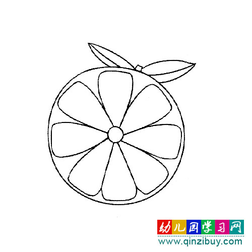 切开的橘子(简笔画)