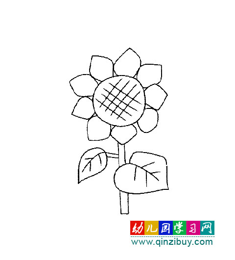 简笔画:鲜艳的向日葵1
