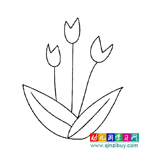 含苞待放的郁金香3(简笔画) - 幼儿园学习网