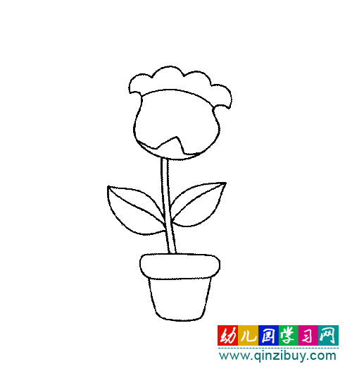 首页 简笔画 植物花卉                来源:幼儿园学习网 相关植物