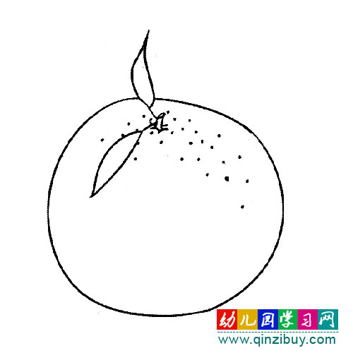 新鲜的橘子2(简笔画)