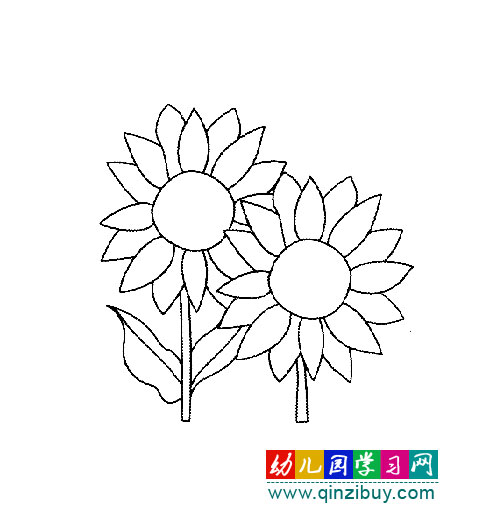 简笔画:鲜艳的向日葵4