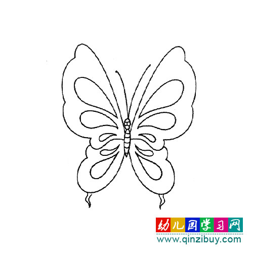 飞舞的花蝴蝶(简笔画)-幼儿园教案网