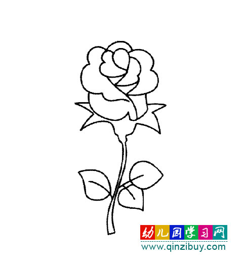简笔画:一束玫瑰花