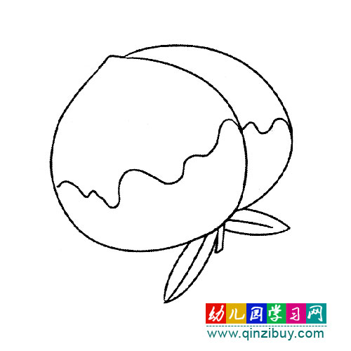 简笔画:水蜜桃-幼儿园教案网