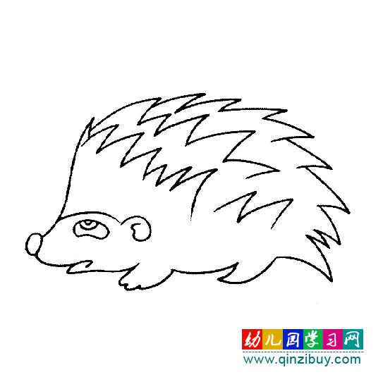 简笔画:满身长满刺的小刺猬-幼儿园教案网