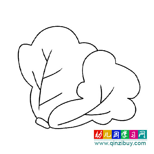 简笔画:大白菜-幼儿园教案网