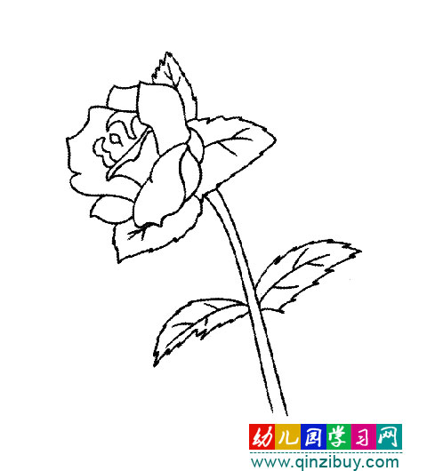 一束美丽的玫瑰花(简笔画)