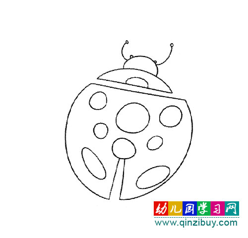一只可爱的瓢虫(简笔画)-幼儿园教案网