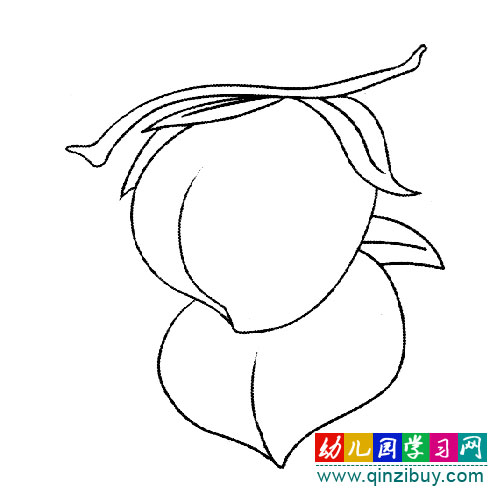 两个水蜜桃(幼儿简笔画)-幼儿园教案网