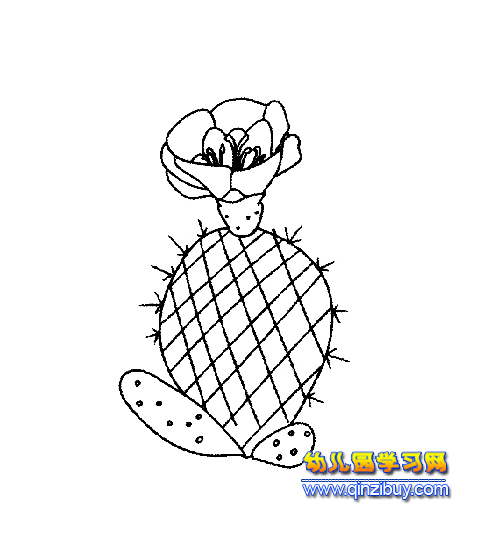 开花的仙人球简笔画—幼儿园教案网