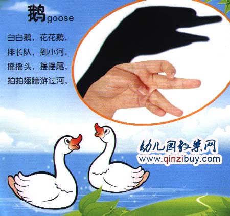 幼儿园手影游戏教案:鹅-幼儿园教案网