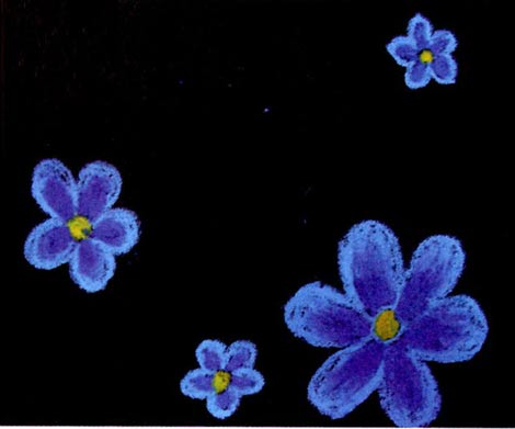 幼儿园小班画画教案设计:野蜂飞舞